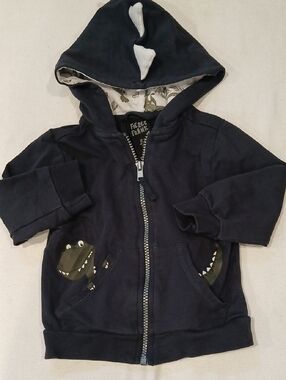 Kids Navy Dinosaur Hoodie